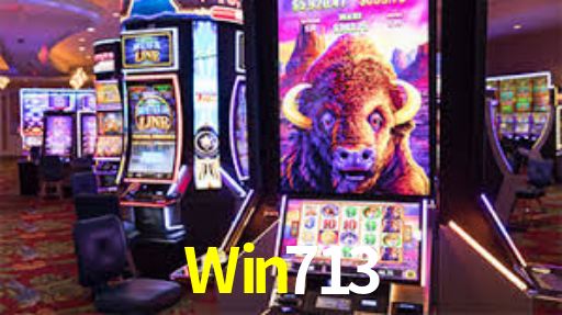 Win713