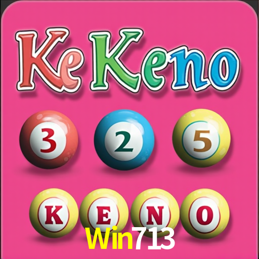 Win713