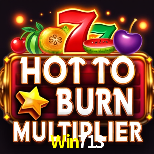 Win713