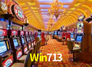 Win713