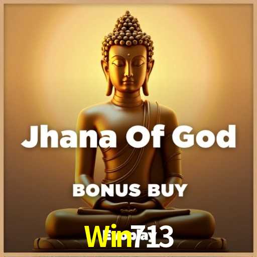 Win713