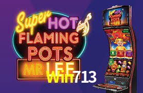 Win713