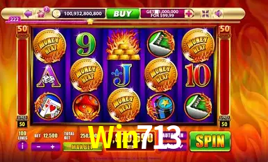 Win713
